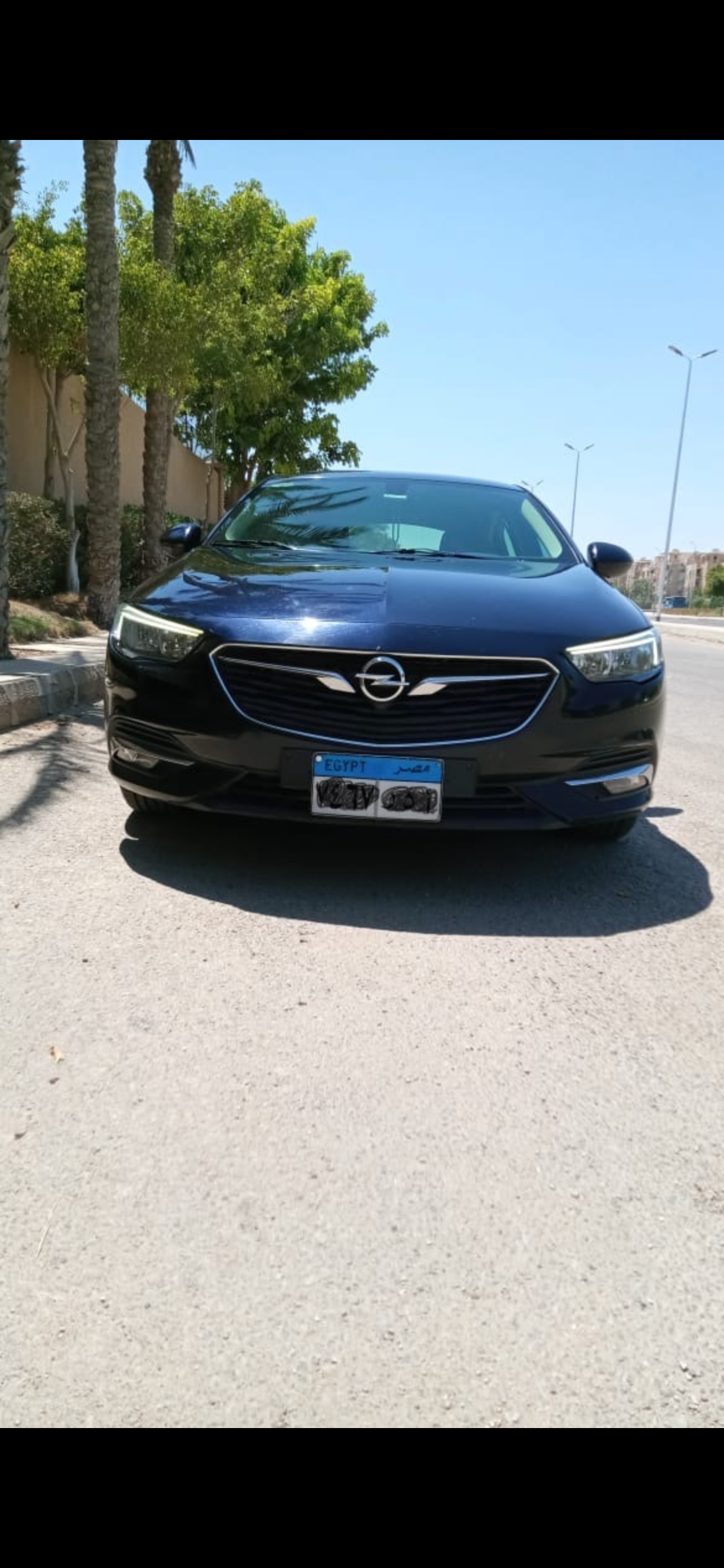 Opel insignia 2019