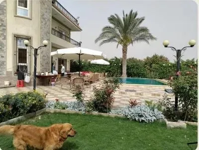 مزرعة فدان بفيلا فاخرة للبيع في الريف الأوروبي، طريق مصر إسكندرية الصحراوي