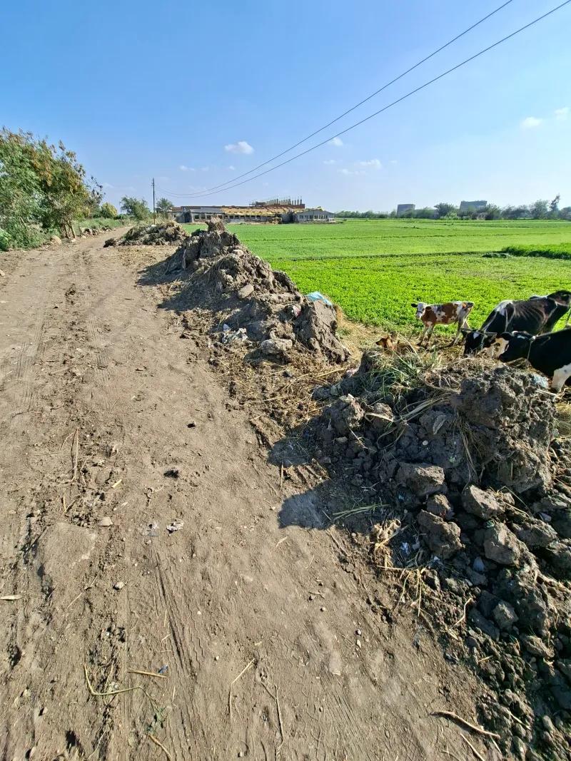 أرض  سكنيه للبيع 